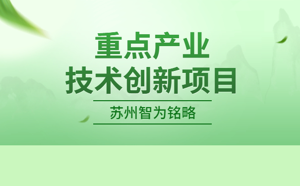 重點(diǎn)產(chǎn)業(yè)技術(shù)創(chuàng)新