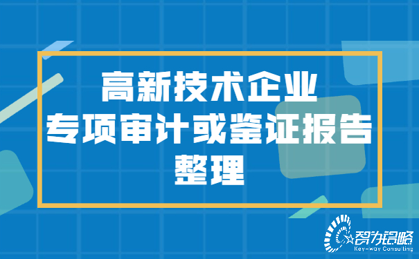 高新技術(shù)企業(yè)專項審計或鑒證報告整理.jpg