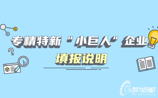 專精特新“小巨人”企業(yè)填報(bào)說明.jpg