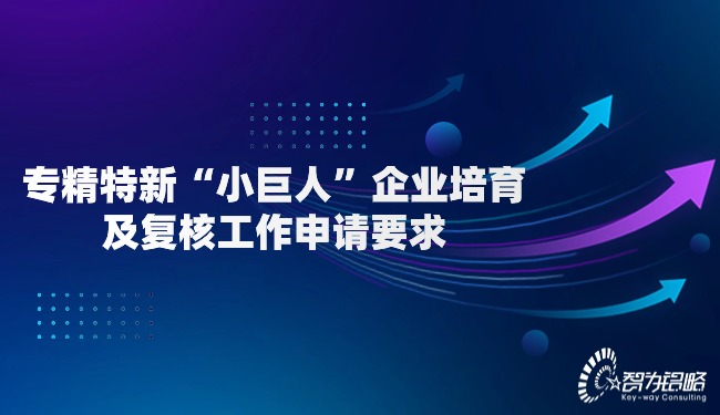 專精特新“小巨人”企業(yè)培育及復核工作申請要求.jpg