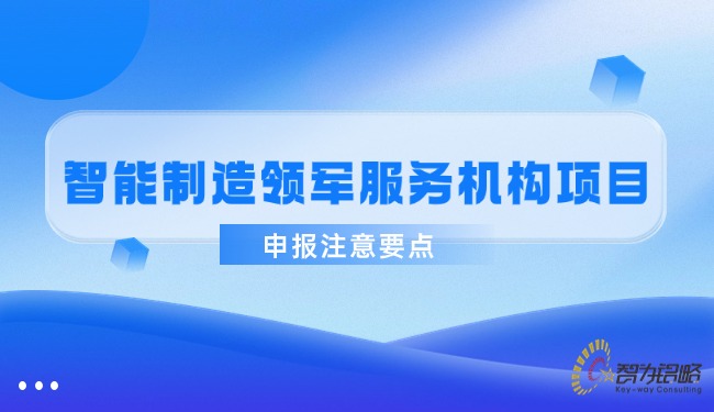 智能制造領(lǐng)軍服務(wù)機構(gòu)項目咨詢注意要點.jpg